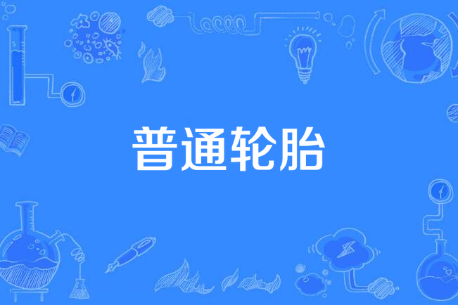 普通輪胎 普通輪胎