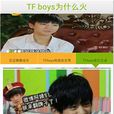 TF boys為什麼火 TF boys為什麼火