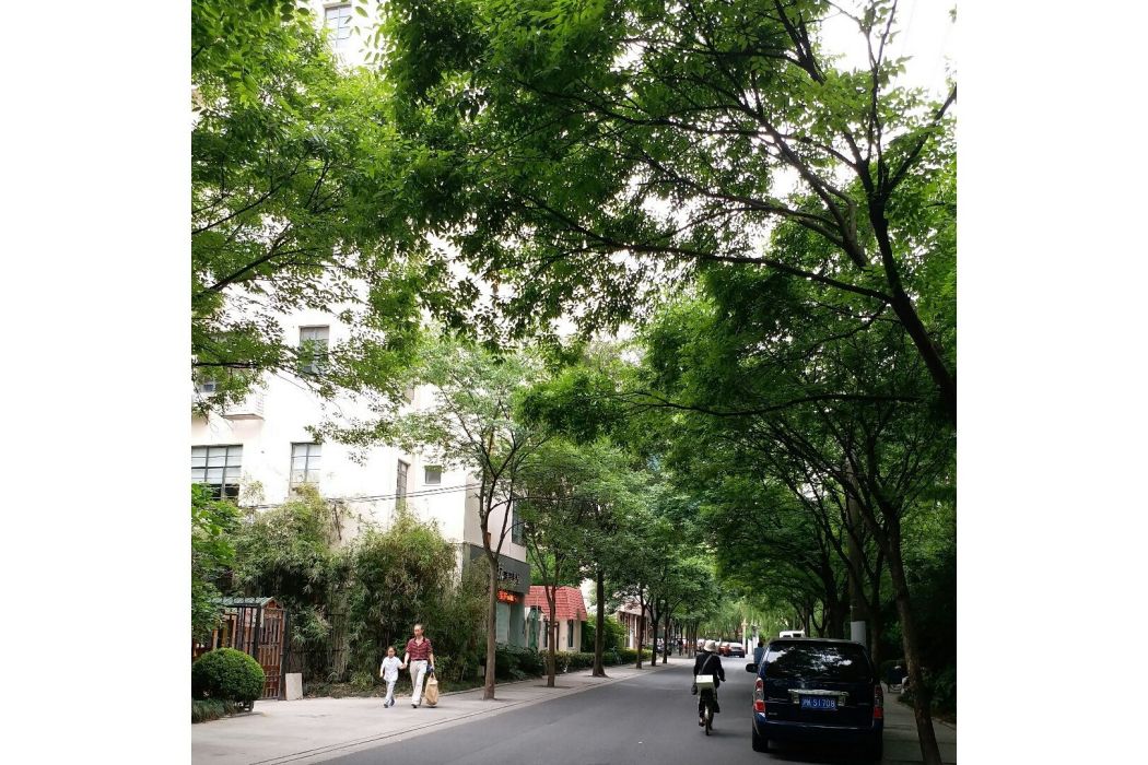 懿德路 懿德路