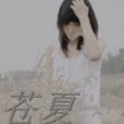 蒼夏(莘忻創作的網路小說) 蒼夏(莘忻創作的網路小說)