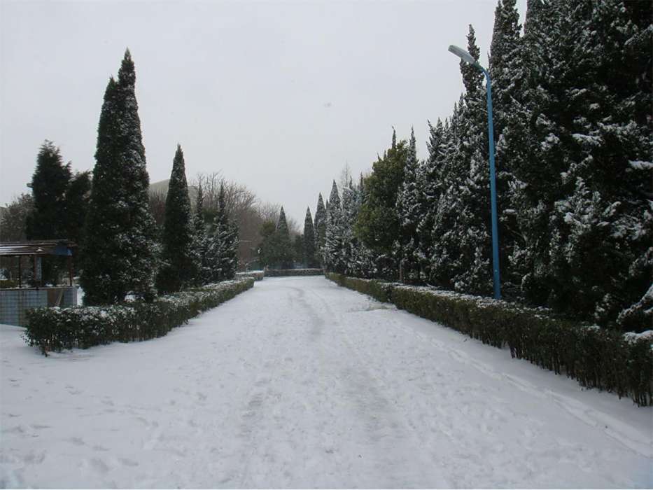 三里鄧村 三里鄧村