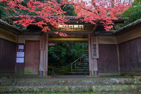 琉璃光院 琉璃光院