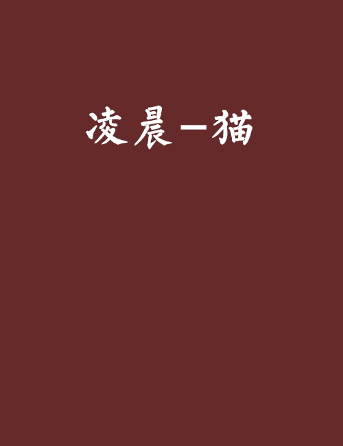 凌晨-貓 凌晨-貓