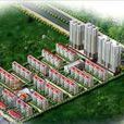 五月藍岸 五月藍岸