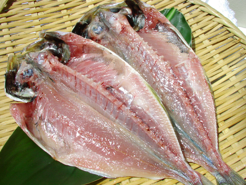 竹莢魚