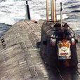 “奧斯卡”級飛航飛彈核潛艇