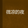微涼的夜(維拉寶貝著小說)