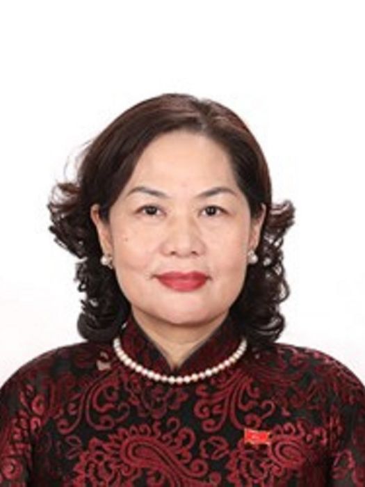 阮氏紅(越共第十三屆中央委員會委員、越南國家銀行行長) 阮氏紅(越共第十三屆中央委員會委員、越南國家銀行行長)