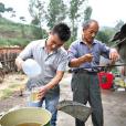 學藝廠村 學藝廠村