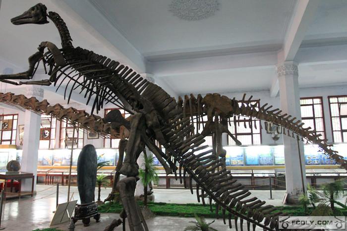 成都理工大學恐龍數字博物館
