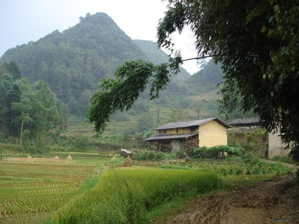 拉興村 拉興村