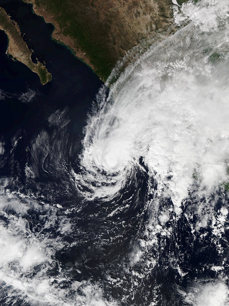 熱帶風暴澤維爾 衛星雲圖