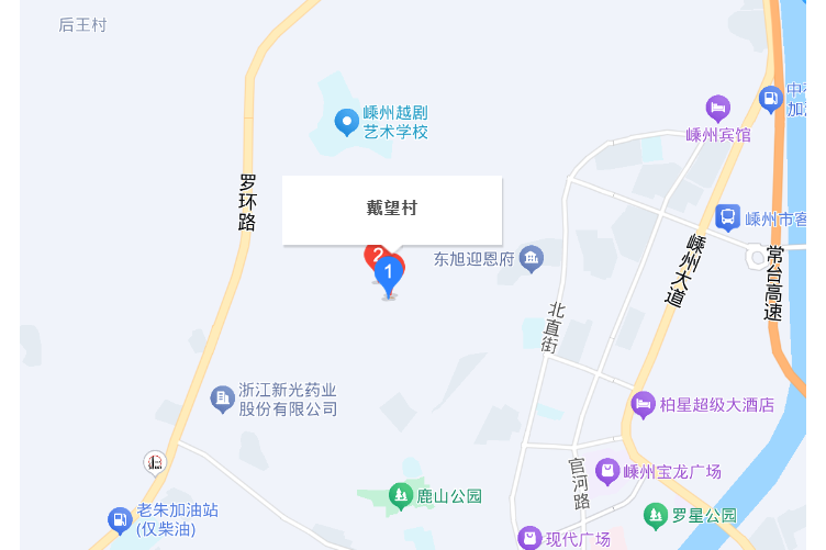 戴望村
