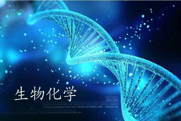 生物化學(浙江工業大學建設的慕課) 生物化學(浙江工業大學建設的慕課)