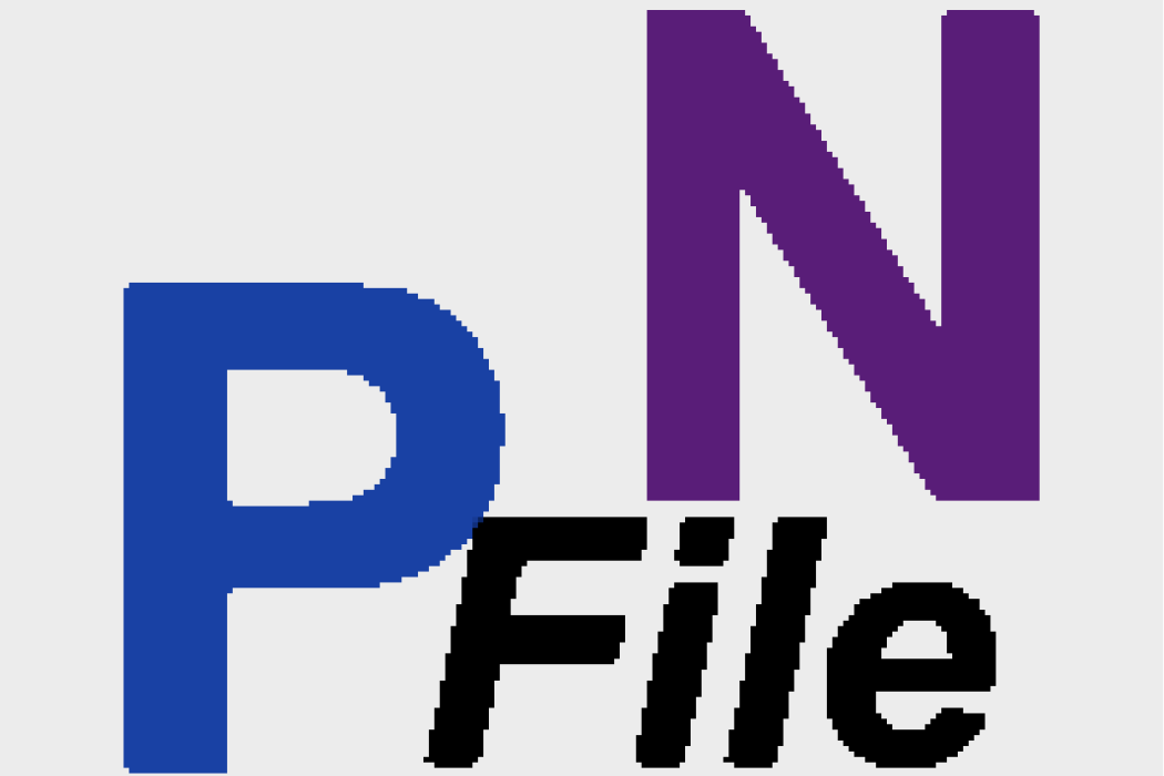 PNFile PNFile
