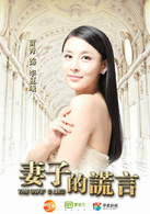 妻子的謊言(賈青、張曉龍主演電視劇)