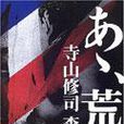啊,荒野(寺山修司長篇小說) 啊,荒野(寺山修司長篇小說)