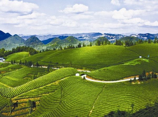 周家灣村(湖南資陽區楊林坳鄉下轄村) 周家灣村(湖南資陽區楊林坳鄉下轄村)