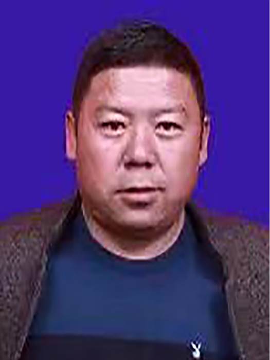 真他 真他
