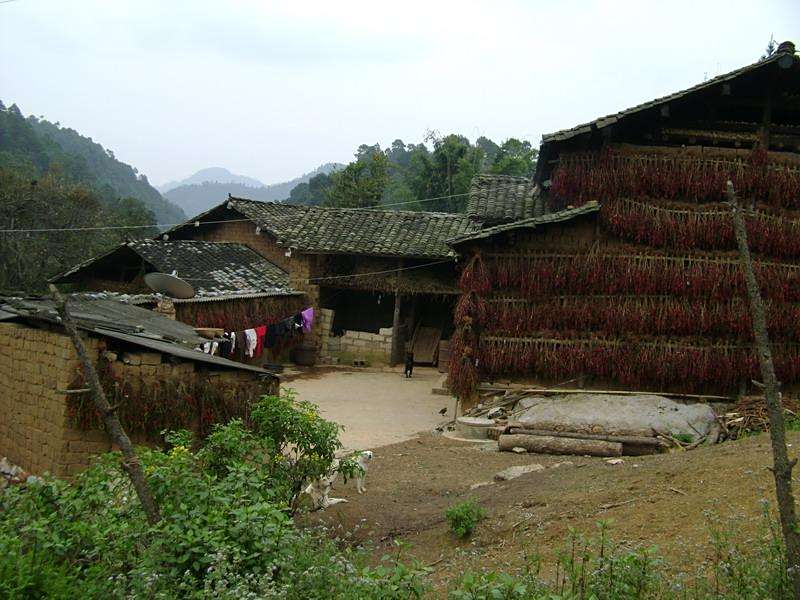 阿拐村 阿拐村