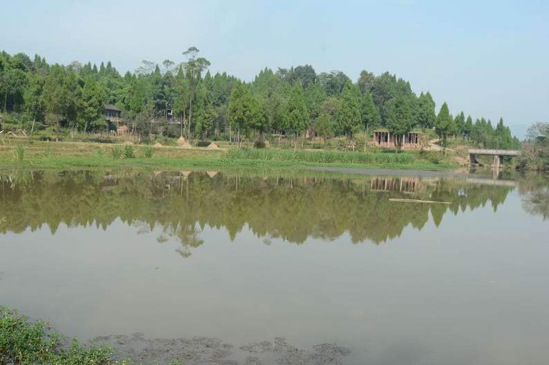 奮鬥村(四川南充市儀隴縣下村) 奮鬥村(四川南充市儀隴縣下村)