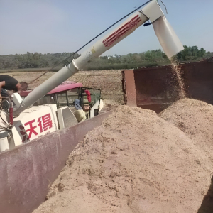 長毛谷 長毛谷
