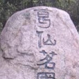葛仙茶圃 葛仙茶圃
