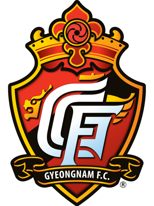 慶南足球俱樂部(慶南FC隊) 慶南足球俱樂部(慶南FC隊)