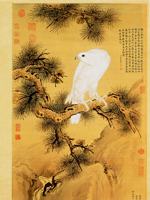 白鶻圖 白鶻圖