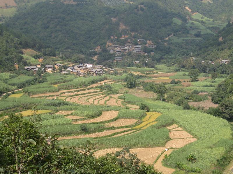 么哈底村 么哈底村