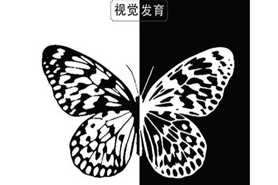 視覺發育 視覺發育