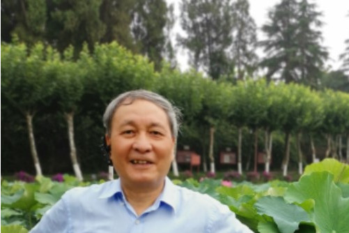 張亮亮(重慶城市科技學院教師) 張亮亮(重慶城市科技學院教師)