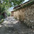 阿樂村(雲南納西縣巨甸鎮下轄村) 阿樂村(雲南納西縣巨甸鎮下轄村)