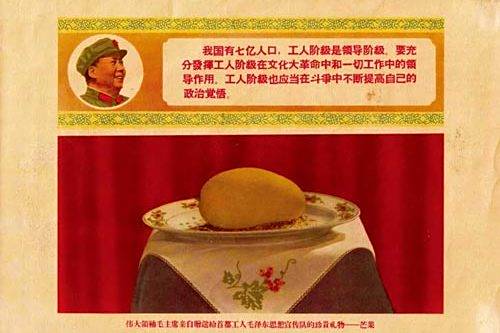 芒果精神(毛主席把芒果贈送給工人階級) 芒果精神(毛主席把芒果贈送給工人階級)