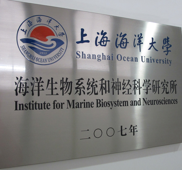 海洋生物系統和神經科學研究所