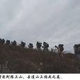解脫之路 解脫之路