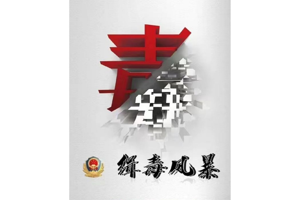 緝毒風暴(2020年拍攝的電影) 緝毒風暴(2020年拍攝的電影)