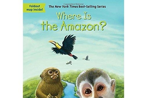 Where Is the Amazon? Where Is the Amazon?
