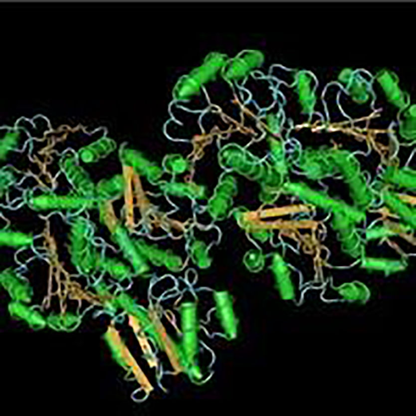 超敏蛋白複合酶