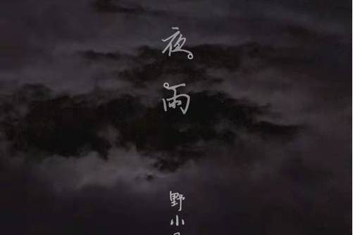 夜雨(野小馬演唱歌曲) 夜雨(野小馬演唱歌曲)