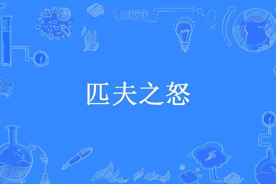 匹夫之怒(金書鐵券創作的都市小說) 匹夫之怒(金書鐵券創作的都市小說)