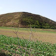 平陵(陵墓)