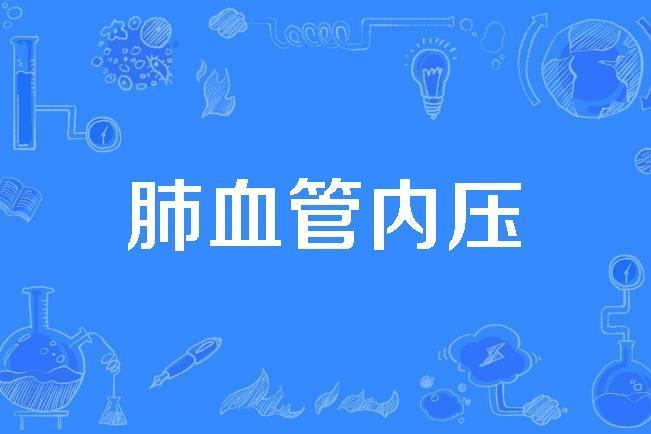 肺血管內壓 肺血管內壓