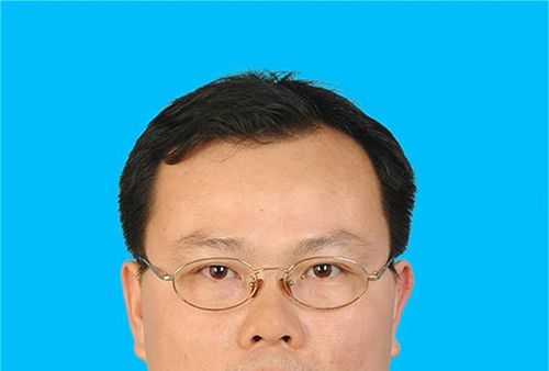 趙軍(廣東天行健律師事務所律師) 趙軍(廣東天行健律師事務所律師)