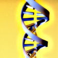 生物工程技術 生物工程技術