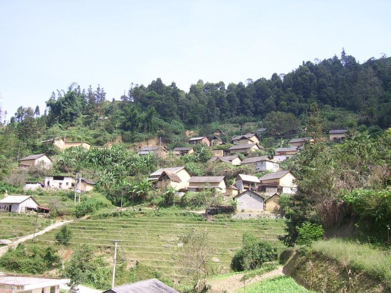 新田箐村 新田箐村