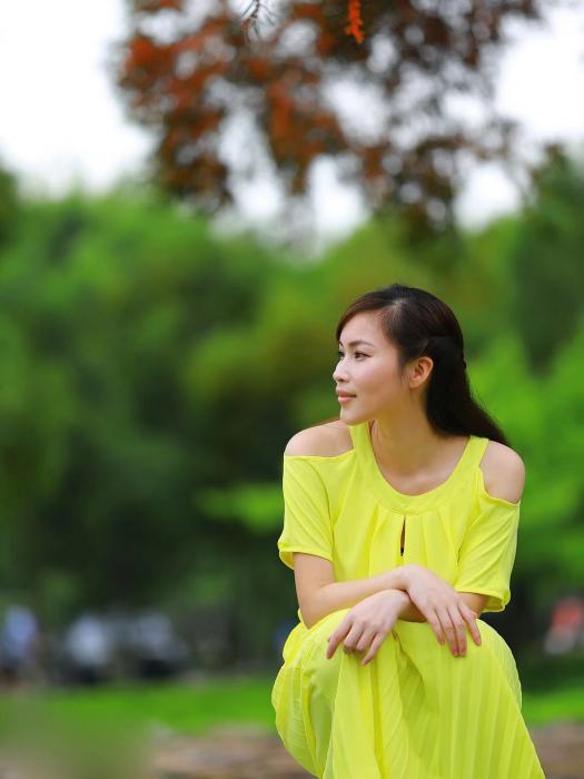 楊菊花(中國女歌手) 楊菊花(中國女歌手)