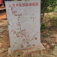 滇越鐵路