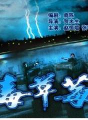 趙恆煊
