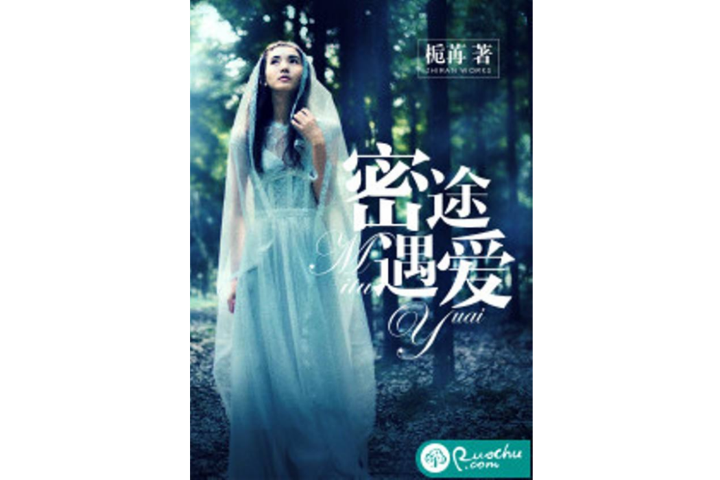 密途遇愛 密途遇愛